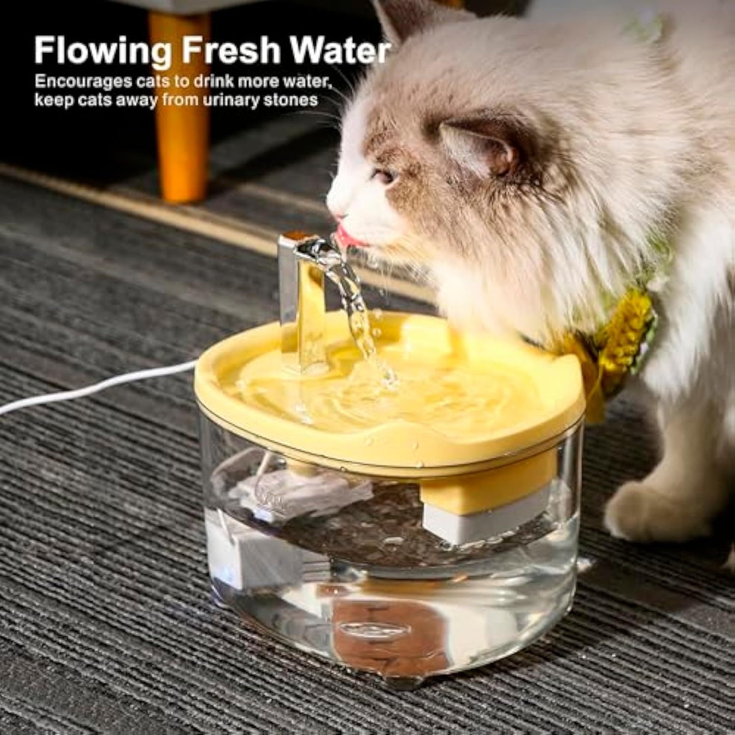 Fontaine à eau pour animaux de compagnie